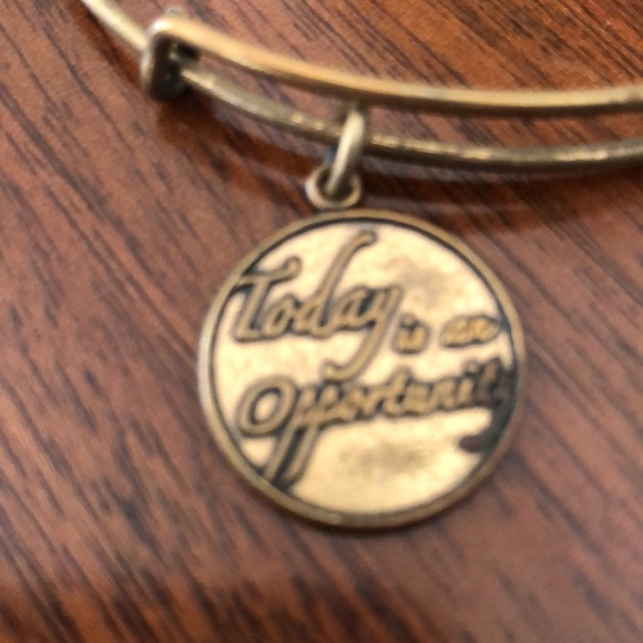 NWT Alex and Ani Women's Today Is An Opportunity charms Bangle Bracelet - Picture 3 of 7